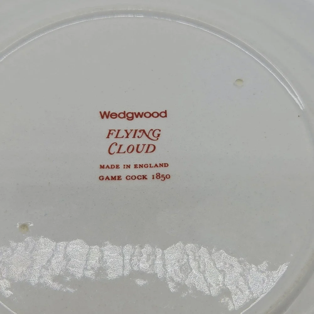 3x Wedgwood Flying Cloud Georgetown Collection Rust 6